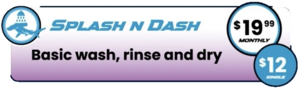 Splash N Dash - $19.99 Monthly, $12 Single
